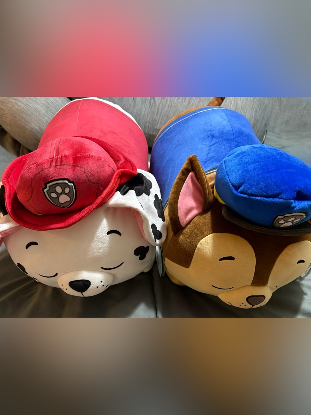 Squishmallows Paw Patrol Chase and Marshall
